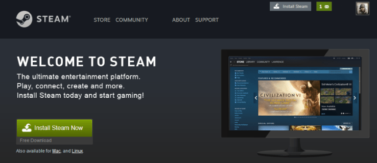 Steam ne s'ouvre pas - Voici comment y remédier