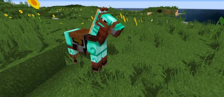 Wie man ein Pferd in Minecraft zähmt