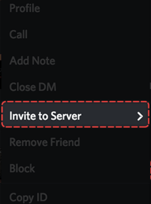 zum Server einladen