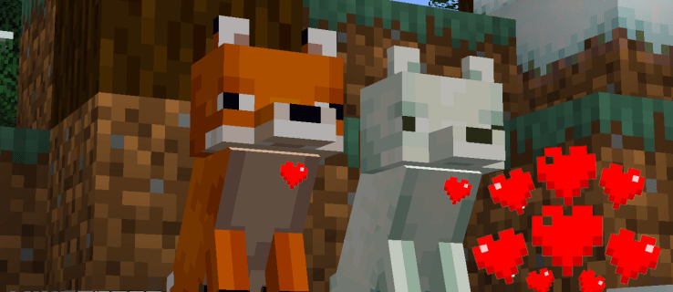 Comment apprivoiser un renard dans Minecraft