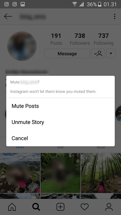 Stummschalten der Instagram-Story
